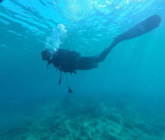 Aperte le iscrizioni al corso di formazione dell&rsquo;Area Marina Protetta di Porto Cesareo! 